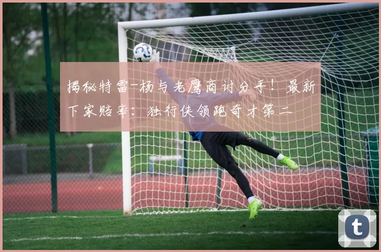 揭秘特雷-杨与老鹰商讨分手！最新下家赔率：独行侠领跑奇才第二