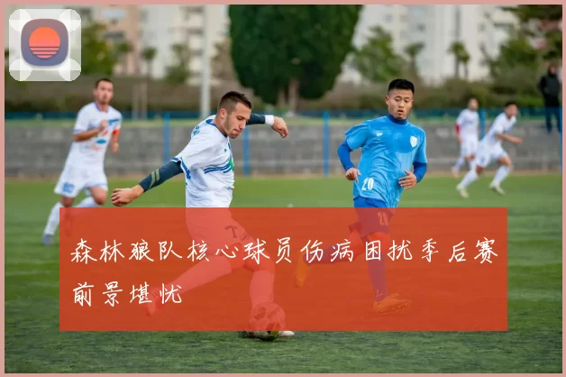 森林狼队核心球员伤病困扰季后赛前景堪忧