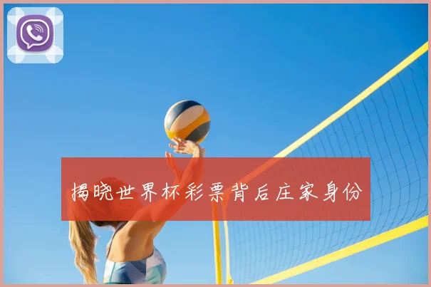 揭晓世界杯彩票背后庄家身份